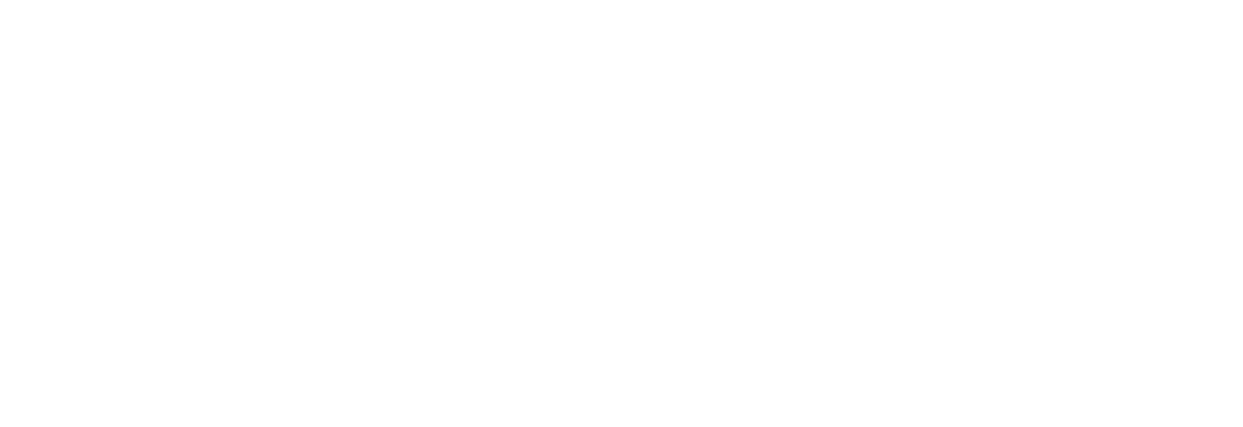 Teams konsequent führen - Petra Werner Consulting